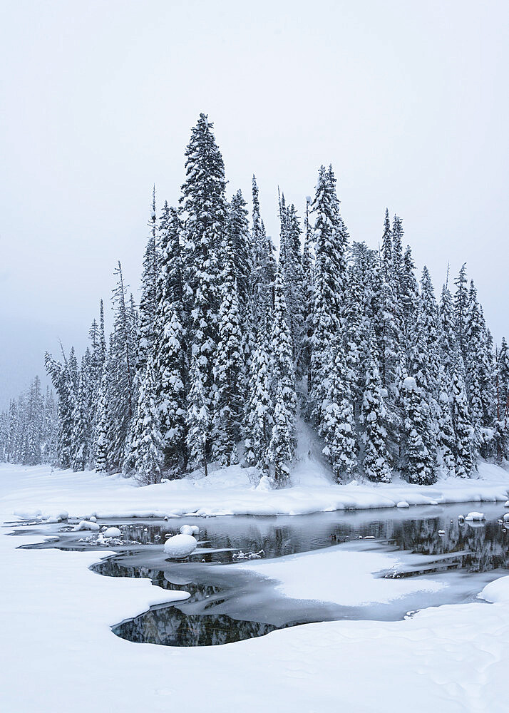 Snow-covered winter forest with frozen lake, Emerald Lake, Yoho National Park, UNESCO World Heritage Site, British Columbia, The Rockies, Canada, North America