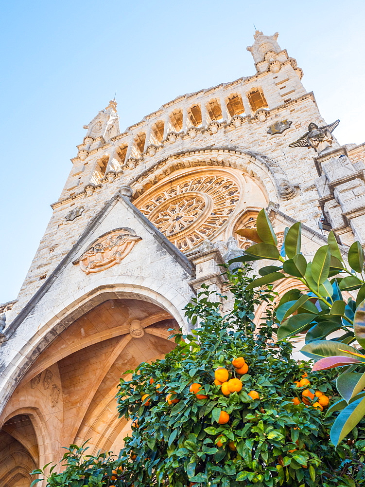 Church and orange trees, Soller, Mallorca, Balearic Islands, Spain, Mediterranean, Europe