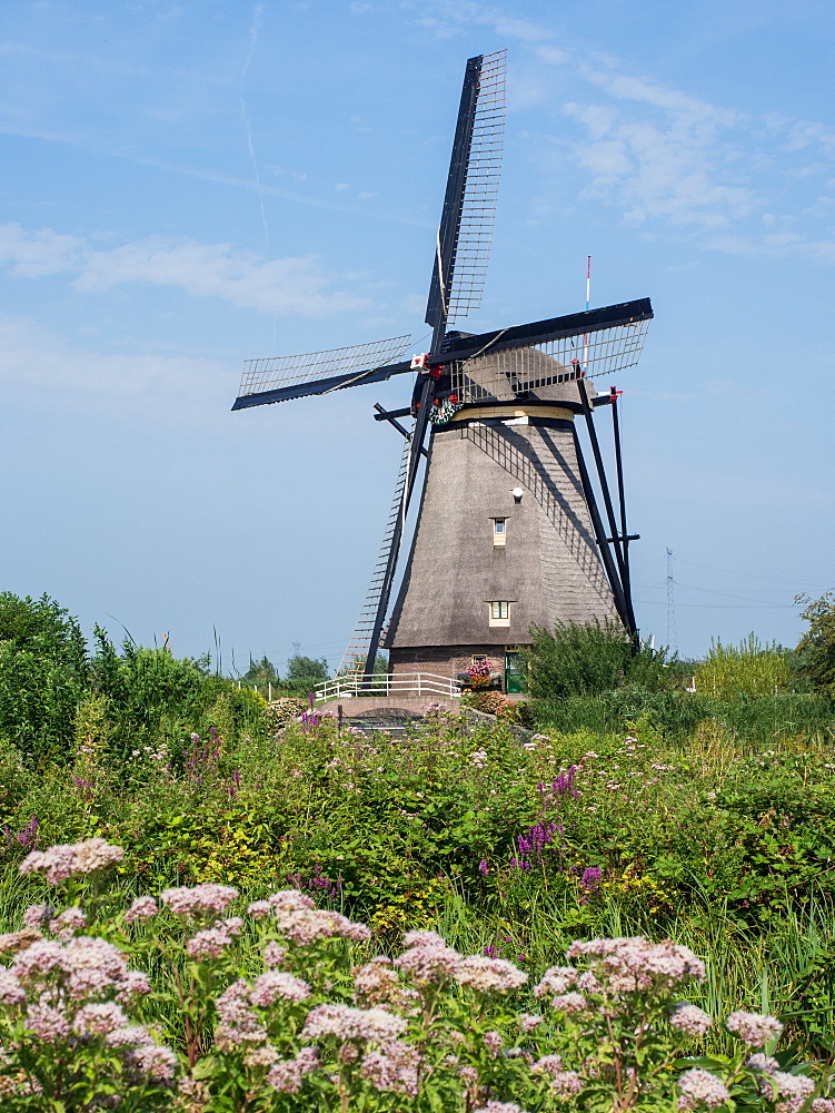 Windmill, Kinderdijk, UNESCO World Heritage Site, Netherlands, Europe