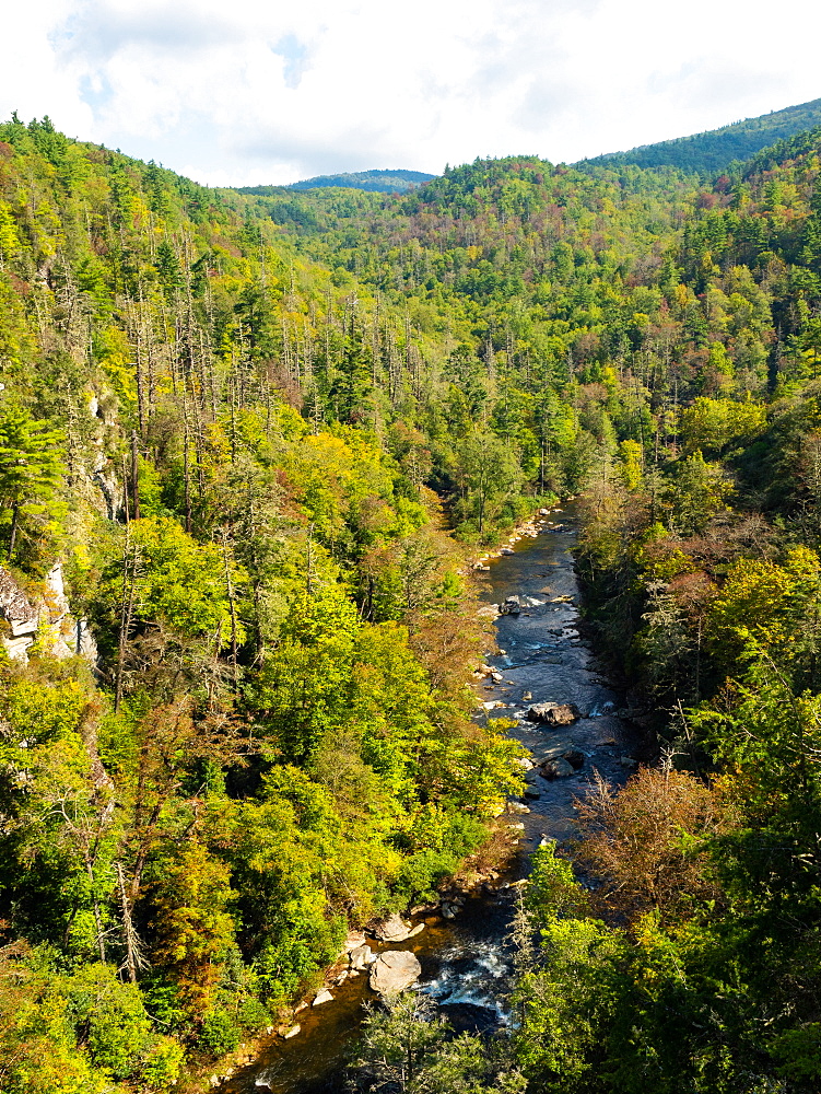 Linville River, Blue Ridge Mountains, Appalachia, North Carolina, United States of America, North America