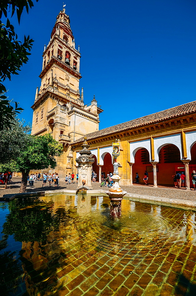 Bell Tower of La Mezquita (Great Mosque), UNESCO World Heritage Site, Cordoba, Andalucia, Spain, Europe