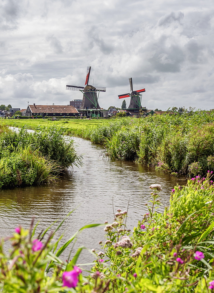 Windmills in Zaanse Schans, Zaandam, North Holland, The Netherlands, Europe