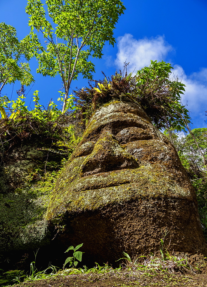 Face Sculpture in Tuff Rock, Asilo de la Paz, Highlands of Floreana (Charles) Island, Galapagos, UNESCO World Heritage Site, Ecuador, South America