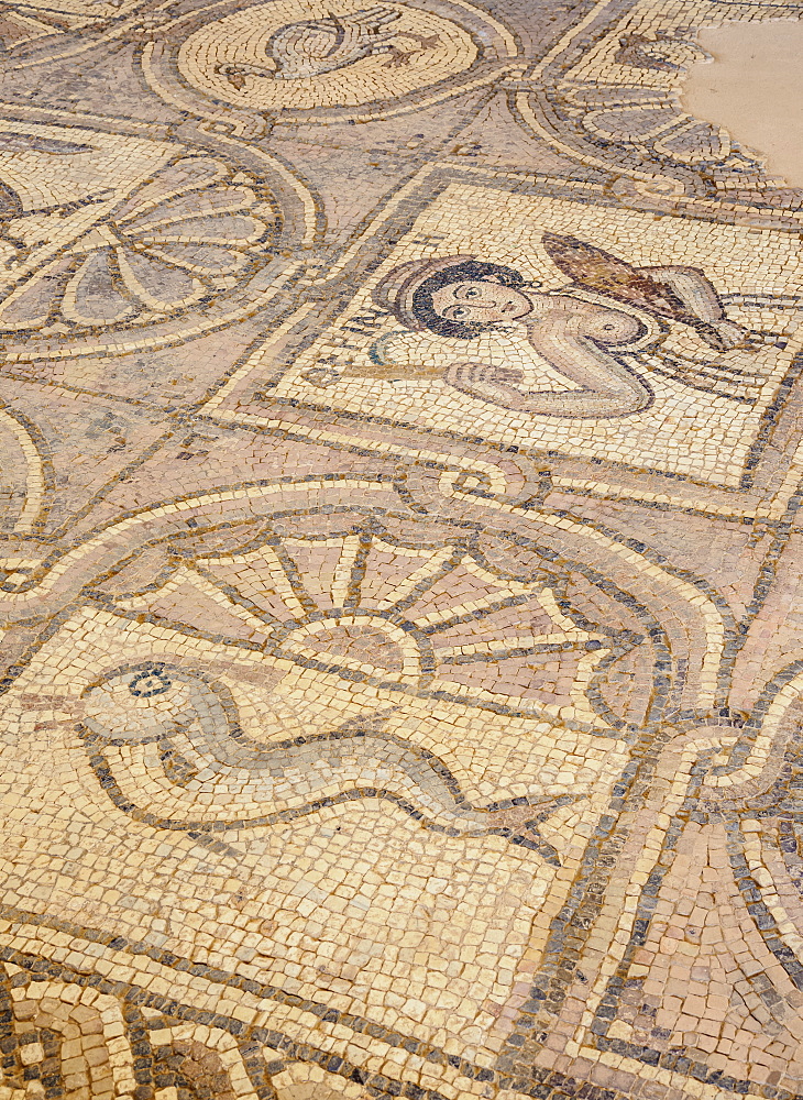 Mosaic floor of the Byzantine Church, Petra, UNESCO World Heritage Site, Ma'an Governorate, Jordan, Middle East