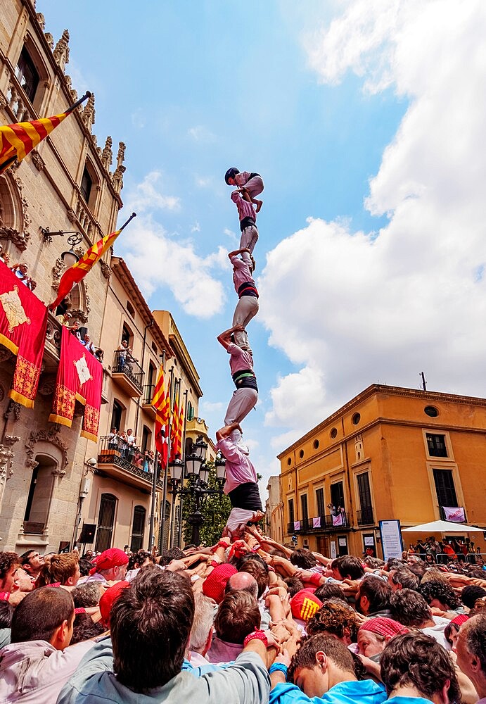 Castell human tower in front of the City Hall during the Festa Major Festival, Terrassa, Catalonia, Spain, Europe