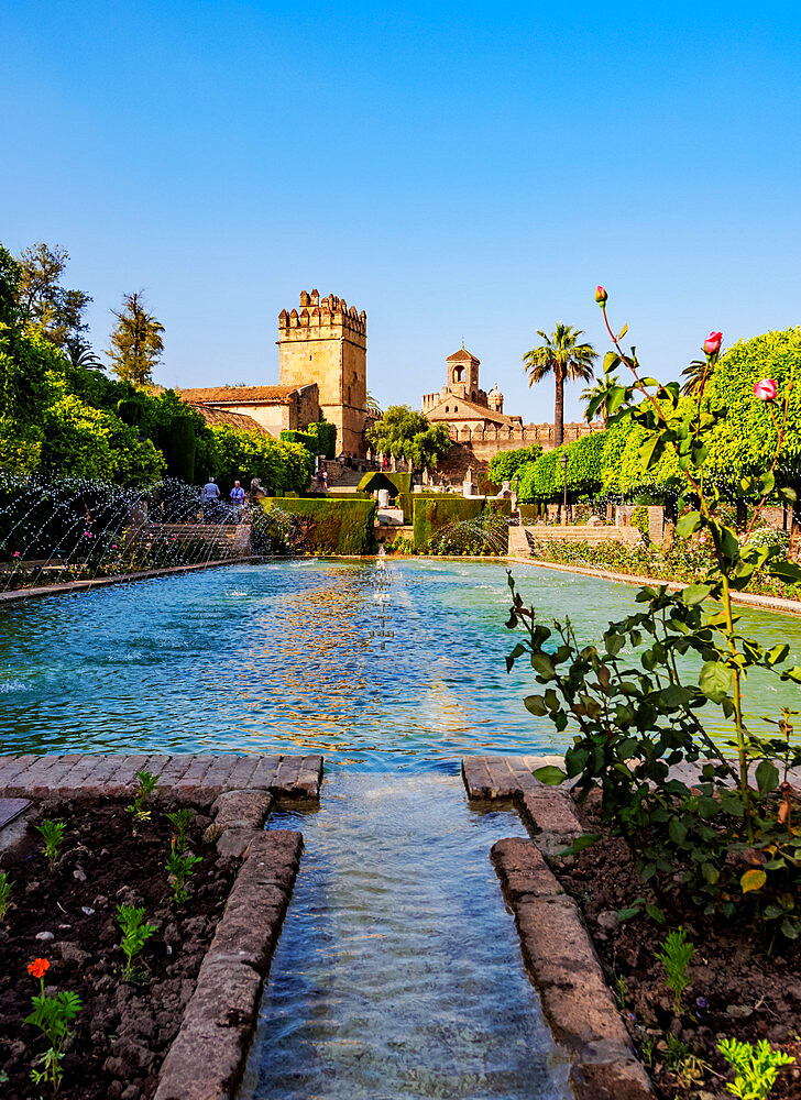 Gardens of Alcazar de los Reyes Cristianos (Alcazar of the Christian Monarchs), UNESCO World Heritage Site, Cordoba, Andalusia, Spain, Europe