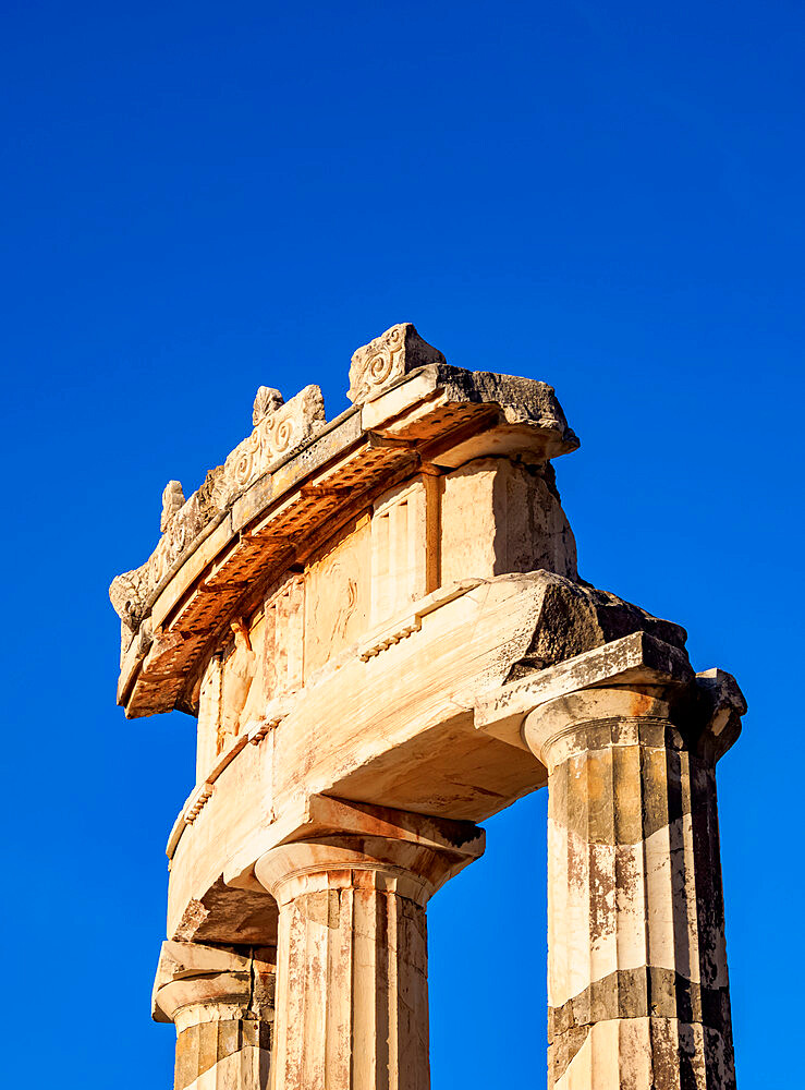 Tholos of Delphi, detailed view, Temple of Athena Pronaia, Delphi, UNESCO World Heritage Site, Phocis, Greece, Europe