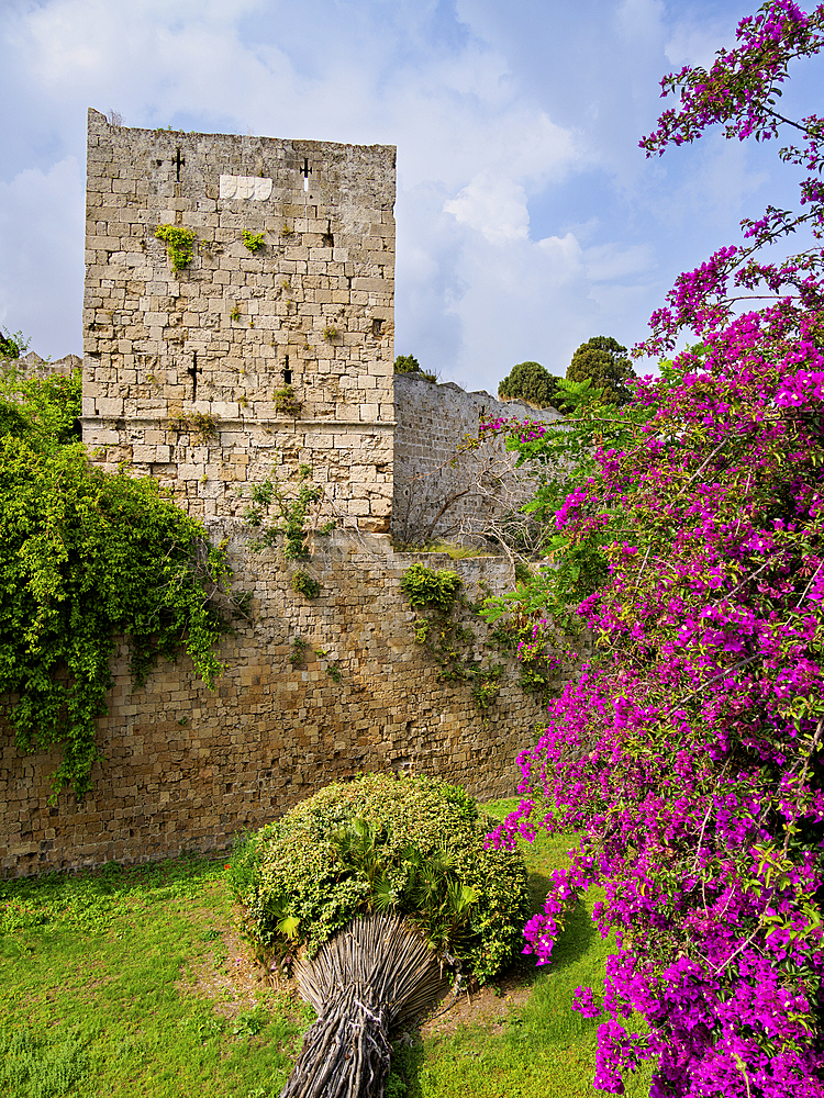 Defensive Wall of the Medieval Old Town, Rhodes City, Rhodes Island, Dodecanese, Greek Islands, Greece, Europe