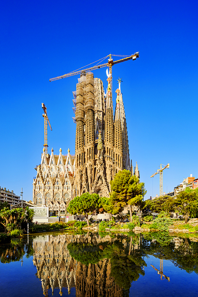 Basilica of Sagrada Familia at sunrise, UNESCO World Heritage Site, Barcelona, Catalonia, Spain, Europe