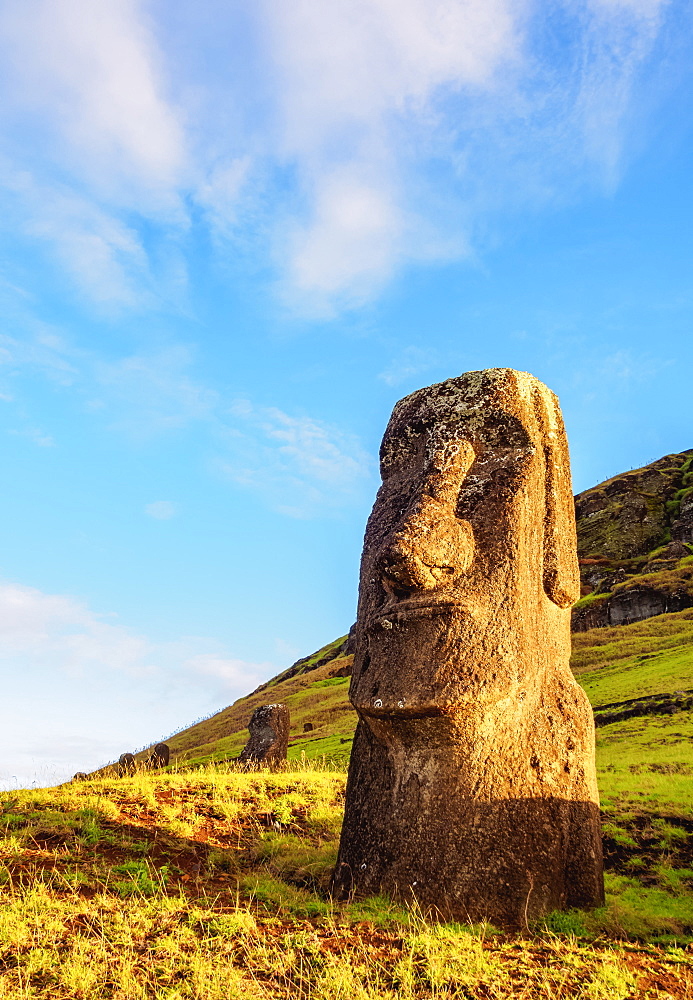 Moais at the quarry on the slope of the Rano Raraku Volcano, Rapa Nui National Park, UNESCO World Heritage Site, Easter Island, Chile, South America