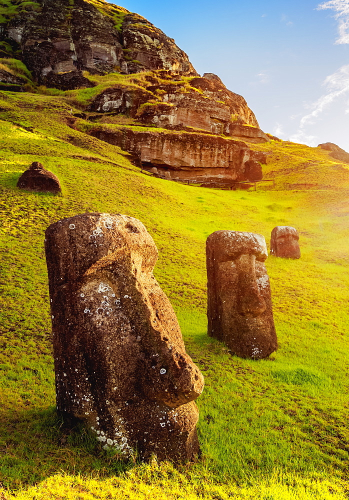 Moais at the quarry on the slope of the Rano Raraku Volcano, Rapa Nui National Park, UNESCO World Heritage Site, Easter Island, Chile, South America