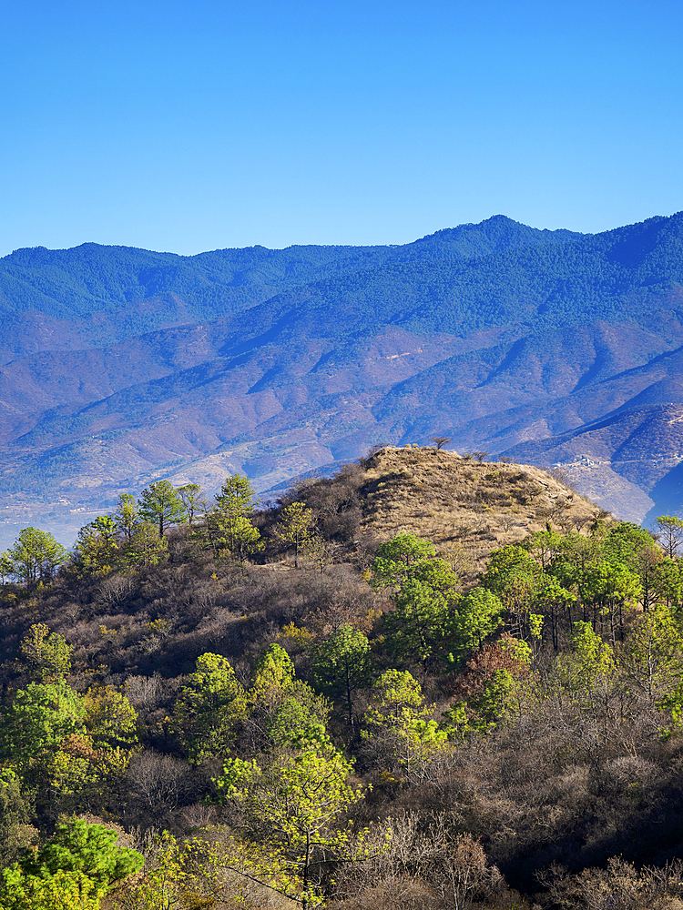 Landscape of Monte Alban, Oaxaca State, Mexico