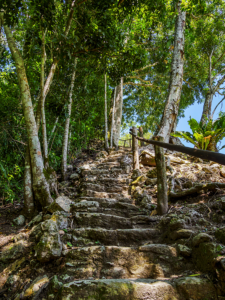 Mayan Ruins at Plaza A, Caracol Archaeological Site, Cayo District, Belize