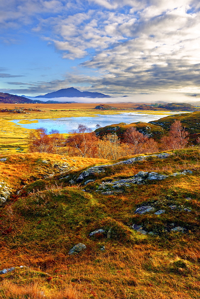 An autumn view of the colorful grass covered hills and moors of Kentra Bay as mist forms below the mountains on the far horizon, Highlands, Scotland, United Kingdom, Europe