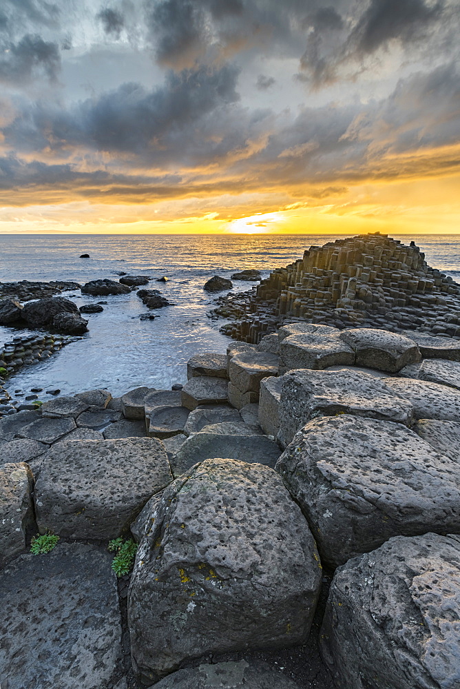 Giants Causeway at sunset, UNESCO World Heritage Site, County Antrim, Ulster, Northern Ireland, United Kingdom, Europe