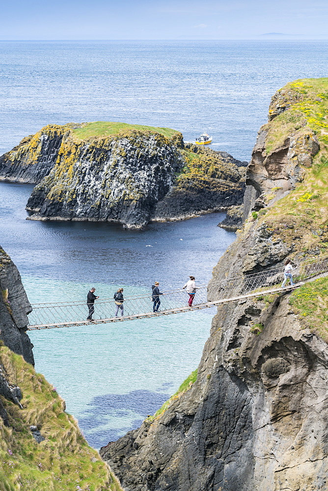 View of the Carrick a Rede Rope Bridge, Ballintoy, Ballycastle, County Antrim, Ulster, Northern Ireland, United Kingdom, Europe