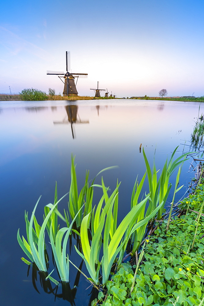 Windmills on the canal and grass in the foreground, Kinderdijk, UNESCO World Heritage Site, Molenwaard municipality, South Holland province, Netherlands, Europe