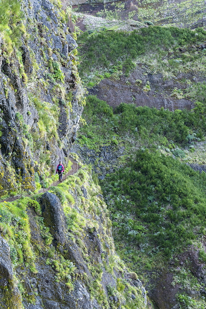 Woman walking on the trail from Pico Ruivo to Pico do Areeiro, Santana municipality, Madeira, Portugal, Europe