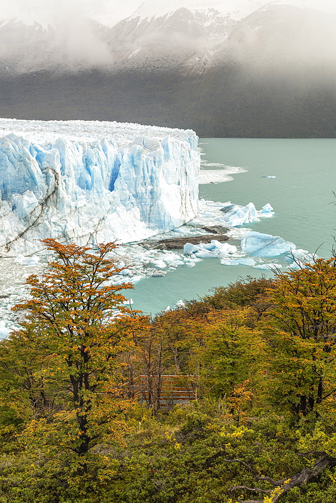 Perito Moreno with trees, Lago Argentino and mountains in autumn, Los Glaciares National Park, UNESCO World Heritage Site, Santa Cruz, Argentina, South America