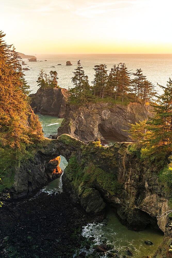 Landscape at sunset at the natural bridges in Samuel H. Boardman Scenic Corridor State Park, Brookings, Curry county, Oregon, United States of America, North America