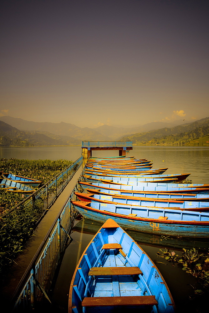 Boats at harbour on Fewa Lake, Pokhara, Nepal, Asia