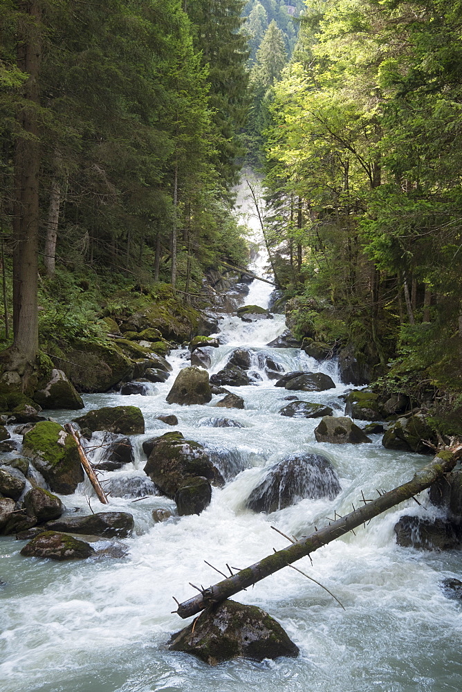 River Sarca, Genova Valley, Trentino, Italy, Europe