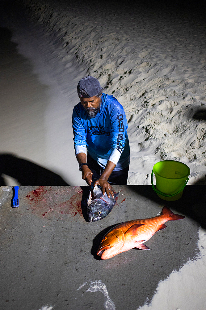 Maldivian fisherman cleaning fish on Fulidhoo island, Maldives