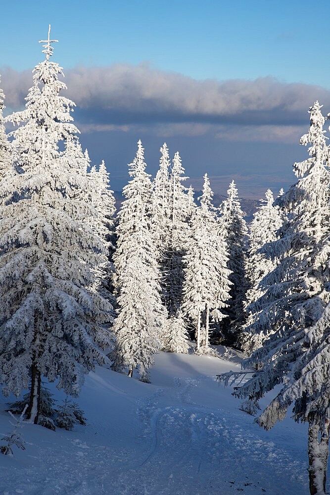 Beautiful winter landscape in Vladeasa mountains, Transylvania, Romania, Europe