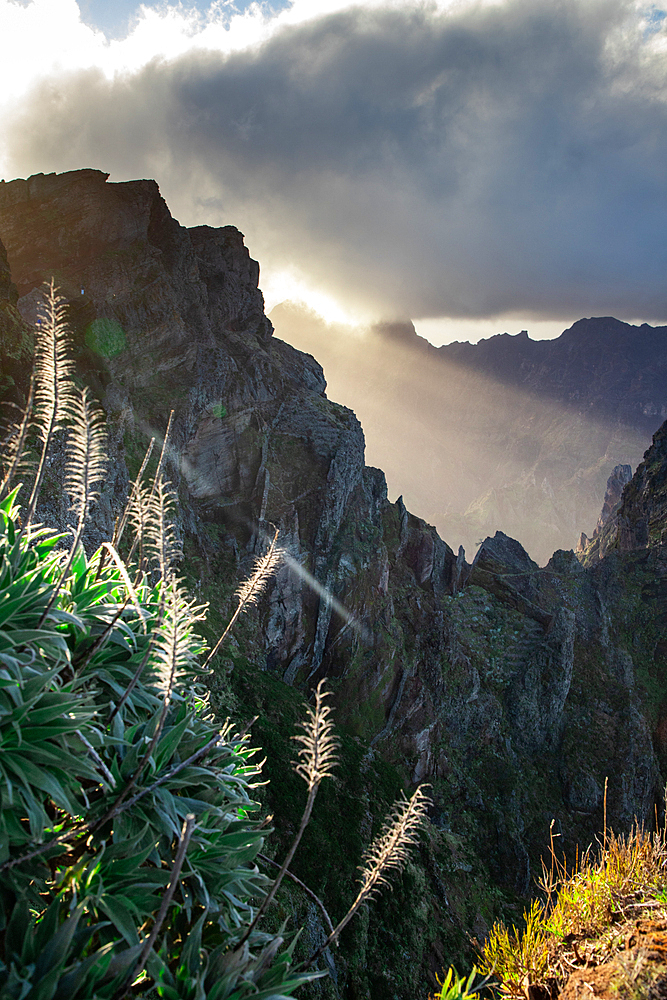 Landscape on the trek between Arieiro peak and Ruivo peak of Madeira island, Portugal