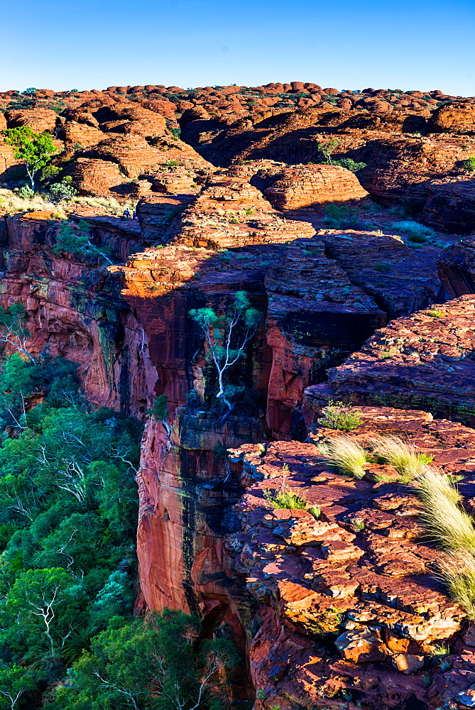 Sandstone Domes on a cliff edge, with the Garden of Eden below, at Watarrka (Kings Canyon), Northern Territory, Australia, Pacific