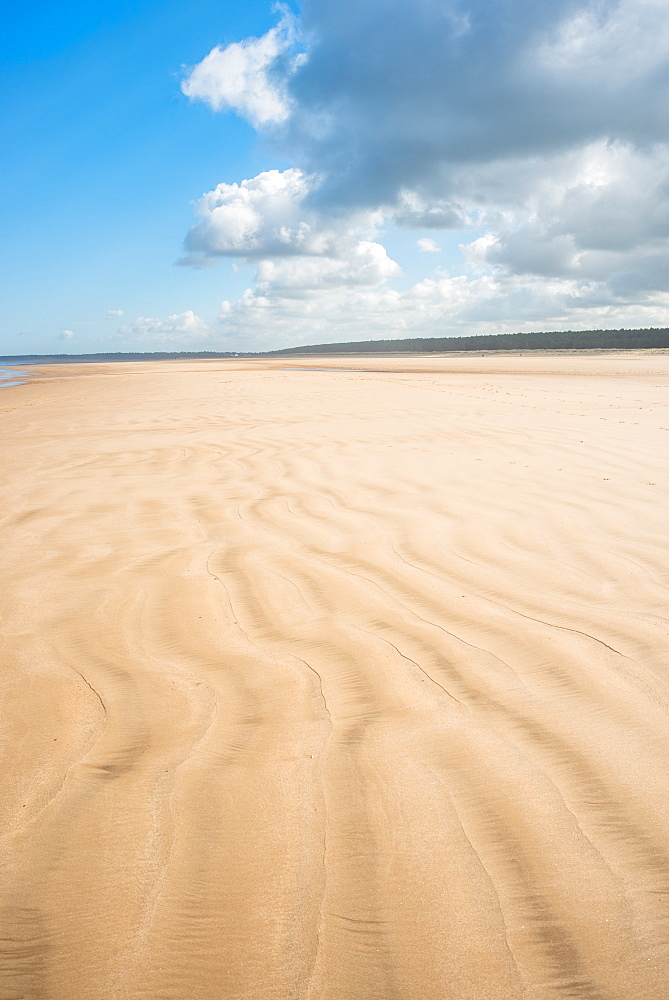 Sandy beach at Holkham Bay on the Norfolk Coast Path National Trail, Norfolk, East Anglia, England, United Kingdom, Europe