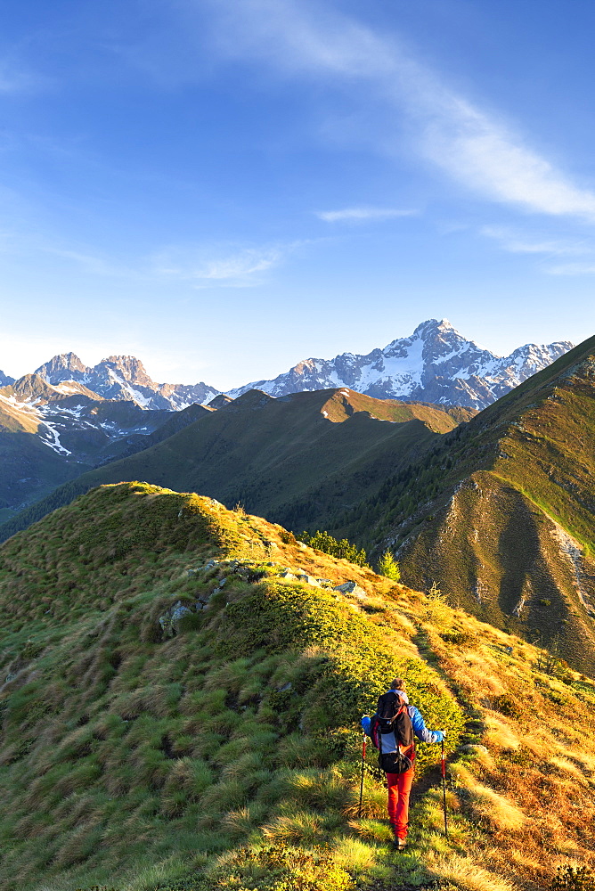 Hiker walks on the ridge of Mount Rolla with Mount Disgrazia in the background, Valtellina, Lombardy, Italy, Europe