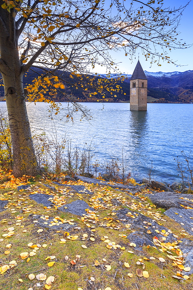 Autumn colors at the iconic bell tower of Curon Venosta, Resia Pass, South Tyrol, Italy, Europe