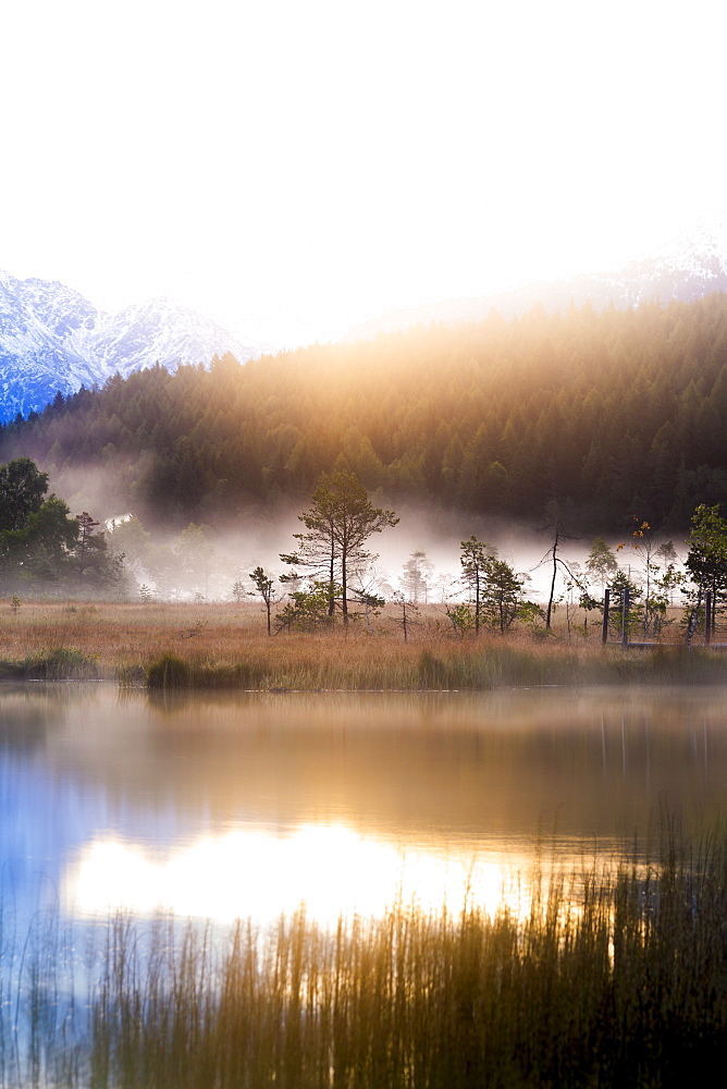 Foggy sunrise at the pond in the Pian di Gembro reserve, Pian di Gembro, Valtellina, Lombardy, Italy, Europe