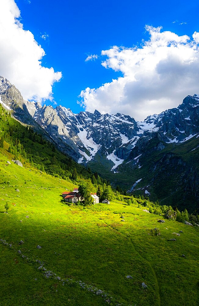 Ancient group of huts illuminated by sun, Val d'Arigna, Valtellina, Orobie Alps, Lombardy, Italy, Europe