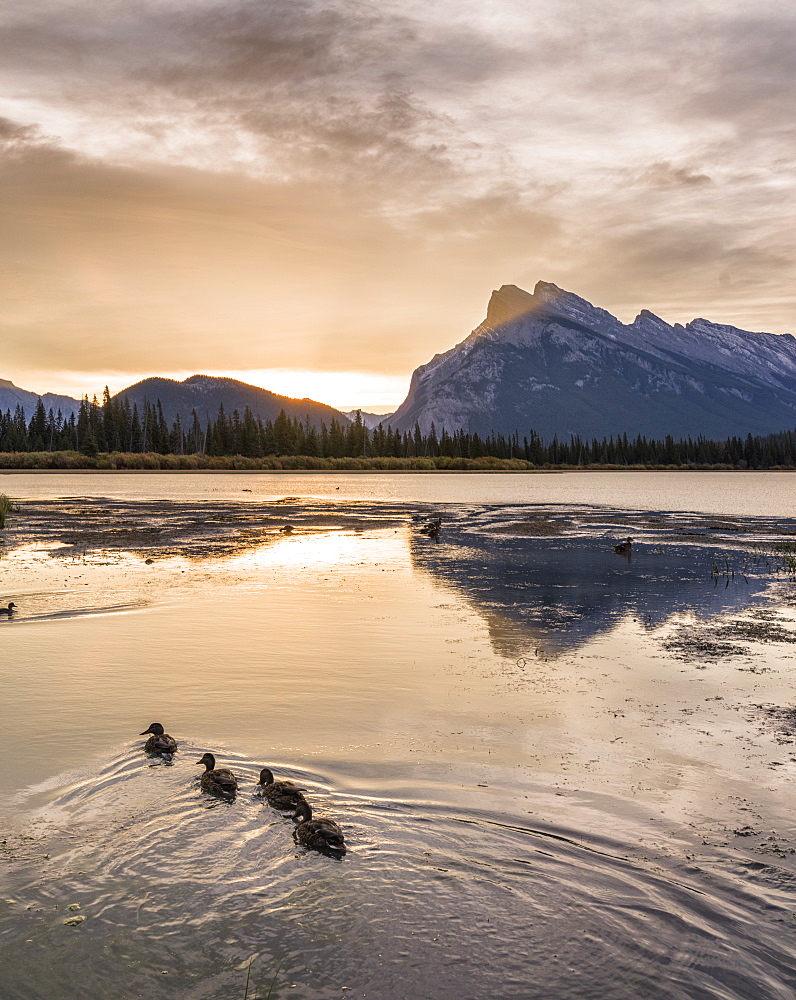 Morning landscape in the Vermilion Lakes, Banff National Park, UNESCO World Heritage Site, Canadian Rockies, Alberta, Canada, North America