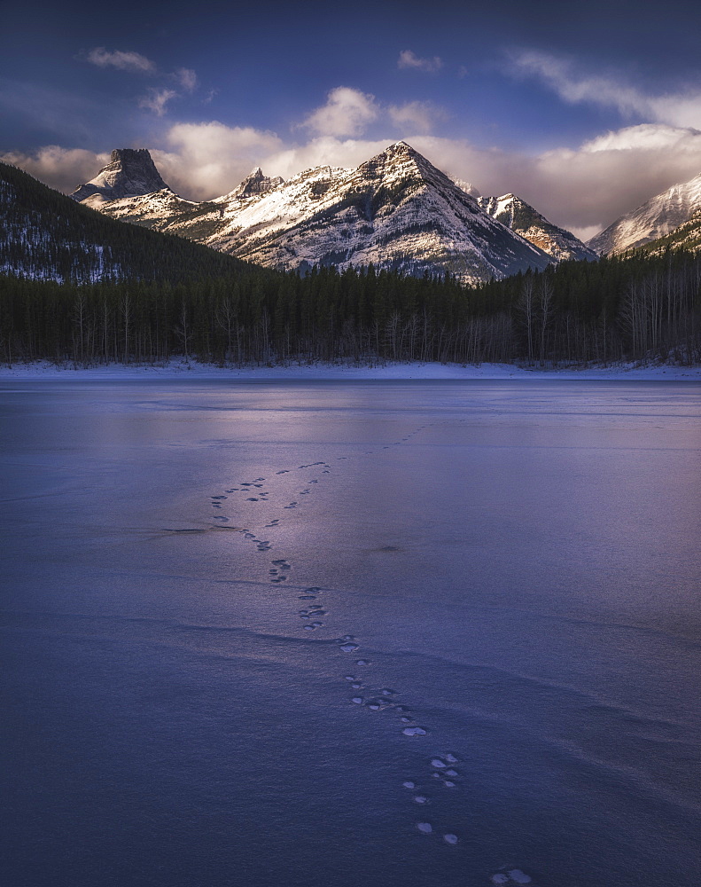 Winter landscape of the Canadian Rockies at Wedge Pond, tracks of wildlife on frozen lake, Kananaskis, Alberta, Canada, North America