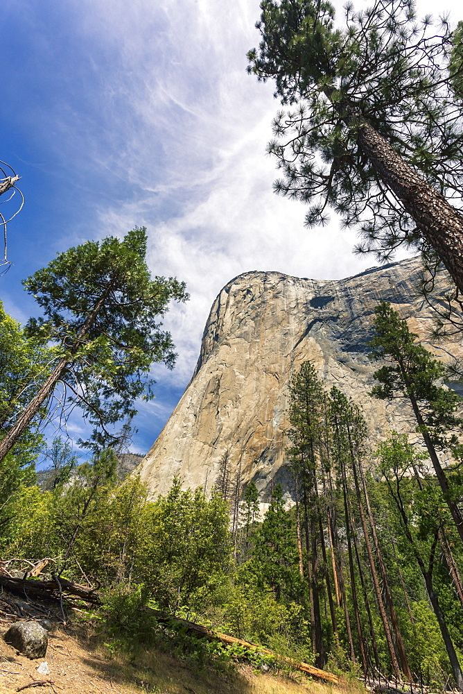 Yosemite Valley, UNESCO World Heritage Site, California, United States of America, North America