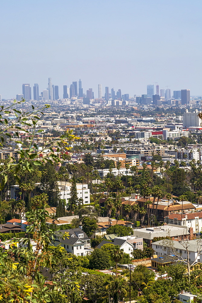 View of Downtown skyline from Hollywood Hills, Los Angeles, California, United States of America, North America