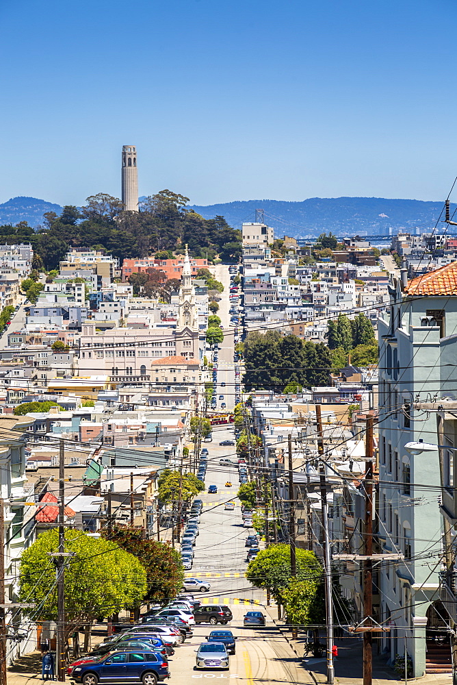 View of Coit Tower from Russian Hill, San Francisco, California, United States of America, North America