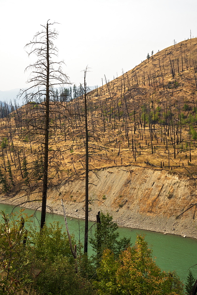 View of barren land following recent fire near Kamloops, British Columbia, Canada, North America