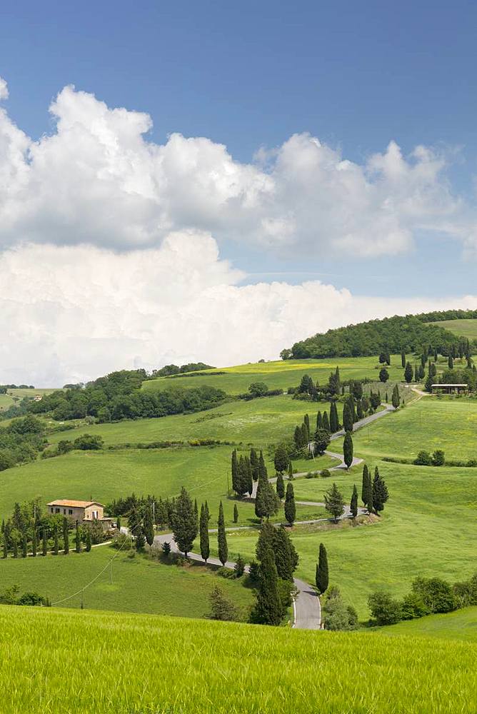 Winding Tuscan road and blue sky near Monticchiello, Tuscany, Italy, Europe