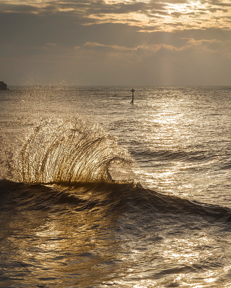 Waves backlit by the dawn sun reflect off the sea wall and impact with an incoming one, Exmouth, Devon, England, United Kingdom, Europe