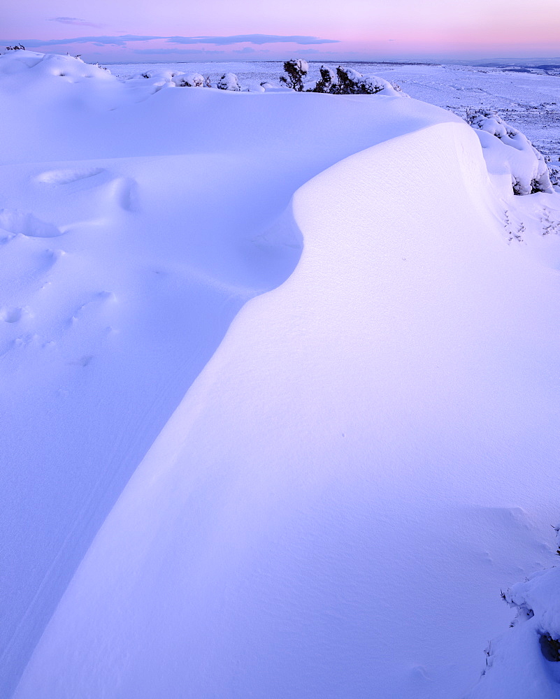 Bank of snow in twilight, Haytor, Bovey Tracey, Devon, England, United Kingdom, Europe