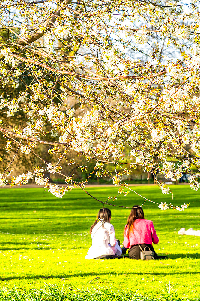 St. James Park, London, England, United Kingdom, Europe