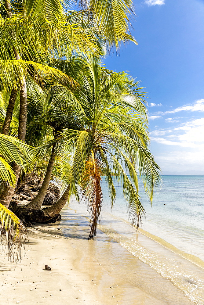 A view of the Caribbean sea off Bocas del Drago beach, Colon Island, Bocas del Toro Islands, Panama, Central America