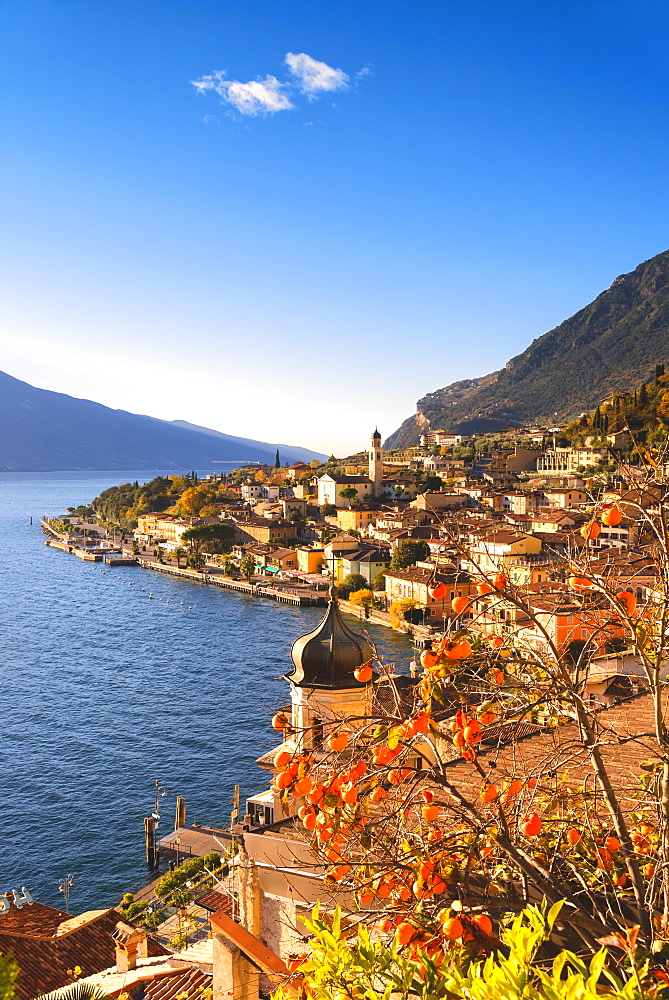 Limone sul Garda, Lake Garda, Brescia province, Lombardy district, Italian Lakes, Italy, Europe