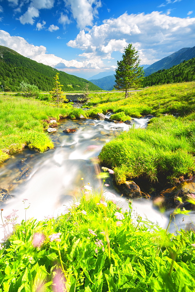 Stream in Stelvio National Park, Mortirolo Pass in Vall Camonica, Brescia, Lombardy dsitrict, Italy, Europe