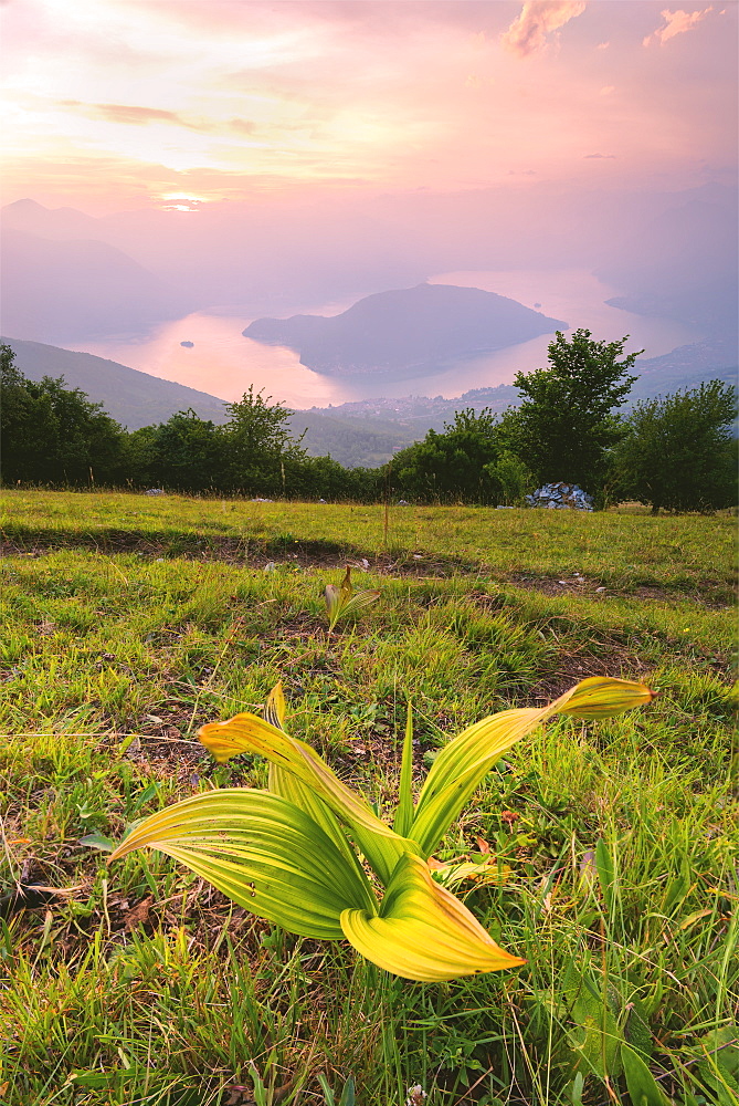 Montisola view from Colmi of Sulzano, Brescia province, Lombardy district, Italy, Europe