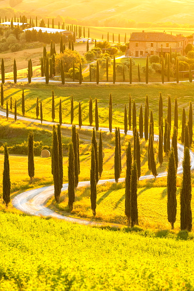 Baccoleno farmhouse in Asciano, Tuscany, Italy, Europe